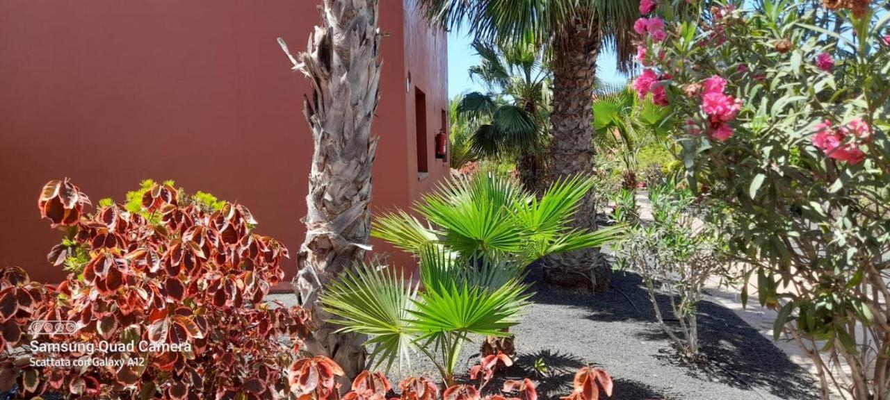 Happy Place, Precioso Con Piscina Apartamento Corralejo